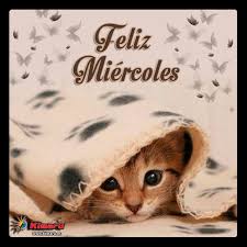 Resultado de imagen de feliz miercoles gracioso