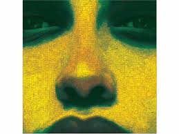 Fractal Architect & Dan Baber