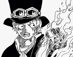 Pin De Vlad Pavlyuk Em Sabo Koala Tatuagens De Anime Anime One Piece Engracado