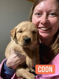 this is the finest coon dog in tucker county,,,he will run a coon all the  way to kantuky..lol