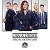 Also, the opening was changed just for this episode from the normal svu intro along with the twelth season premiere of law & order and the first season premiere of law & order: Buy Law Order Special Victims Unit Season 21 Microsoft Store En Au