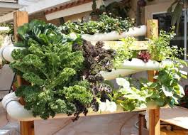 Organic foods have become increasingly important as people recognize the. Cool Diy Projects For Hot Days Curbly Diy Design Community Diy Hydroponic Garden Vertical Garden Design Hydroponic Gardening