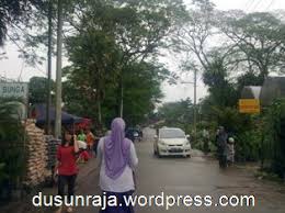 Ingat macam tempat kedai bunga biasa je tapi sebenarnya luas besar betul. Nursery Sg Buloh The Royal Orchard