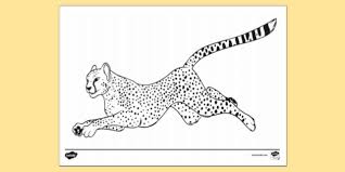 Cheetah coloring pages lovely best 12 luxury free printable from realistic cheetah coloring pages 20 fresh cheetah coloring pages from realistic cheetah coloring pages kids however witness and perceive everything and are always keen to let their knowledge flow to others through various means verbal and non verbal. Cheetah Colouring Pages To Print Colouring Sheets