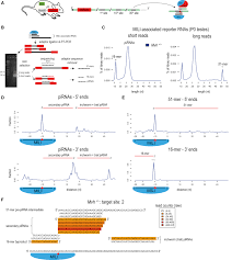 Below (or via the navigation top left) you will find our contact details, our beverage brands and whiskey list, upcoming. Distinct Roles Of Rna Helicases Mvh And Tdrd9 In Piwi Slicing Triggered Mammalian Pirna Biogenesis And Function Abstract Europe Pmc