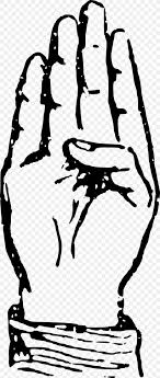 A word borrowed from another sign language. American Sign Language American Manual Alphabet Letter Png 1020x2400px American Sign Language Alphabet American Manual Alphabet