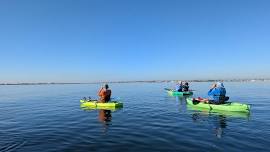 Wildlife Kayaking Eco Tour