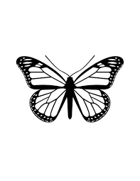 Jib Hunt Vector Silhouette Butterfly Butterfly Drawing Insect Coloring Pages White Butterfly Tattoo