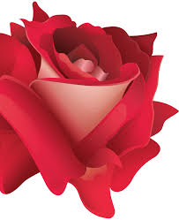 Jonathan Keir Hendey