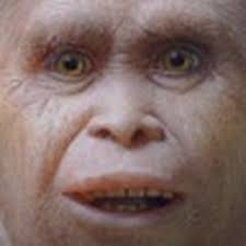 SOLVED: My phone turns