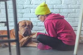 As you can see, having a pet can cost you over $1,000 in the first year, and well over $500 each. Amoxicillin For Dogs Pet Ponder
