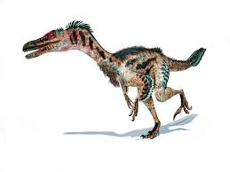 Велоцира́птор — род хищных двуногих динозавров из семейства дромеозаврид, подсемейства велоцирапторин. Baby Raptor Fossil Found In Alaska Nature And Wildlife Discovery