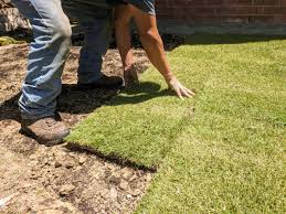 More than any other factor, the area to be covered is the most substantial cost factor in sod installation. Palisade Zoysia 1 2 Pallet Nature S Earth Products