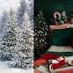 Christmas Mini's event image