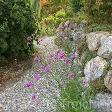 Wordpress Com Garten Anlegen Garten Garten Ideen