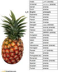 We did not find results for: Why Is Pineapple In English But Ananas In All Other Languages English Language Usage Stack Exchange