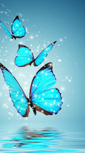 Maybe you would like to learn more about one of these? Cute Iphone Blue Butterfly Wallpaper Novocom Top