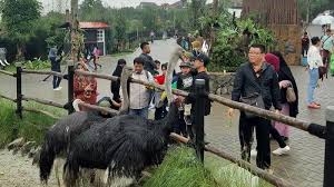 Karenanya, hampir di setiap destinasi wisata terdapat wahana yang satu ini, tak terkecuali di wbl lamongan. Baru Harga Tiket Masuk Dan Jam Buka Lembang Park Zoo Di Bandung Barat Tribun Travel