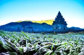 Jarak dari jogja tidak terlalu jauh. Tourists Hikers Warned About Cold Weather At Dieng Plateau Mt Semeru National The Jakarta Post