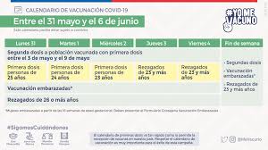 Las vacunas salvan cada año millones de vidas. Ministerio De Salud Inicia Vacunacion A Personas Menores De 30 Anos Ministerio De Salud Gobierno De Chile