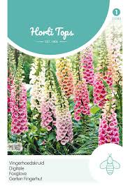 Maybe you would like to learn more about one of these? Garten Fingerhut Mischung Fingerhutsamen Von Hortitops Samenhaus Samen Samereien