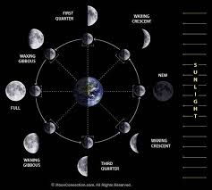 How Long Does Each Phase Of The Moon Last Quora Moon Facts Moon Phases 4th Grade Science