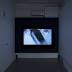What to See in New York Art Galleries This Week
