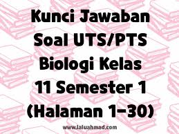Kumpulan contoh soal pkn kelas 11 (xi) semester 1 dan 2 kurikulum 2013 beserta jawabannya dalam bentuk pilihan ganda (pg). Kunci Jawaban Soal Uts Pts Biologi Kelas 11 Semester 1 Halaman 1 30 Laluahmad Com