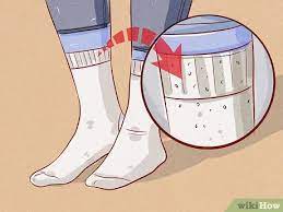 Signs your dog has a tick. How To Tell If Your Dog Has Fleas 14 Steps With Pictures