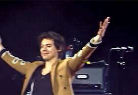 Pin By Hesbeutifulsoul On Harry Styles Harry Styles Gif Harry Styles Style