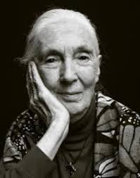 Dr. Jane Goodall What a hero she was and always will be. I'm so grateful  Tom and I were recently able to spend an evening with this woman whose work  and humanity