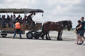 Comment accéder au mont st michel ? Navettes Hippomobiles Destination Mont Saint Michel Normandie