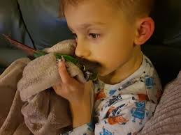 This is so cute Kaiden and I! ✨🧚✨