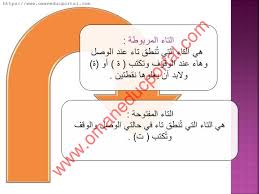 شرح درس الإملاء التاء المربوطة والتاء المفتوحة الوحدة الرابعة في اللغة العربية للصف السابع الفصل الثاني