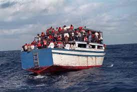 Fish, whales, or turtles … the island is not actually a turtle, but another kind of creature entirely, with a tree and other foliage growing straight out of its back. Deadly Voyages Devastate Haitian Island Repeating Islands