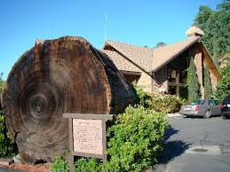 Located in oakhurst, best western plus yosemite gateway inn is in the mountains. Best Western Plus Yosemite Gateway Inn Main Entry Picture Of Best Western Plus Yosemite Gateway Inn Oakhurst Tripadvisor