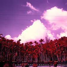 Check spelling or type a new query. How To Shoot Expired Film Or No You Do Not Need To Add One Stop Per Decade Emulsive