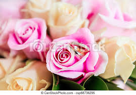 Beautiful bouquets, blooming buds, flickering flower magic. Golden Wedding Rings On Bridal Bouquet With Pink And Yellow Roses Traditional Floral Composition For Wedding Ceremony Canstock