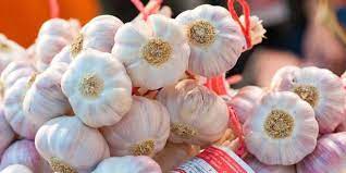Cette plante, originaire d'asie centrale, a été découverte il y a plus de 3000 ans. Idee Recue Sur La Sante N 19 L Ail Est Bon Pour Le Coeur Le Point