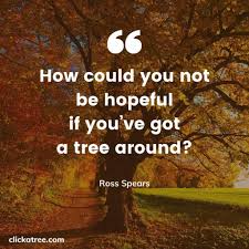 Just look at what this one did to the sidewalk! 39 Best Tree Quotes About Life Business And Love Bonus Video