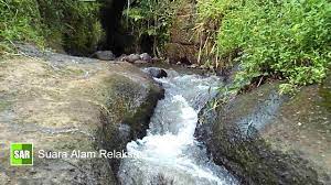 Terapi Otak Suara Alam Pengantar Tidur Dengan Suara Air Gemricik Mengalir Dari Sungai Gunung Sungai Air Alam