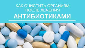 Organizm Posle Priema Antibiotikov Kak Vosstanovit Mikrofloru Podderzhat Pechen Ochistit Krov Usilit Immunitet