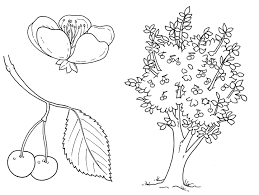 Pin Su Materiale Scolastico