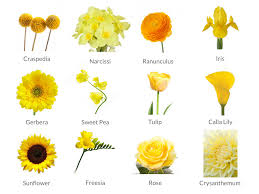 For example, three types of flowers that come in a very dark/black color include: Cheat Sheets To Spring Wedding Flowers Weddingplanner Co Uk