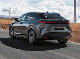 Image result for Black Onyx 2023 RZ