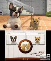 Toy poodle and new friends : Nintendogs Cats Bulldog Frances Y Sus Nuevos Amigos Imagenes Nosolobits