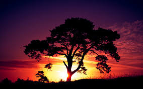 Of course, seasons and sometimes locations adjust these values. Landscape Photography And Sun Image 310265 On Favim Com