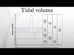 tidal volume