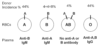 We did not find results for: Pediatric Transfusion Management Cancer Therapy Advisor