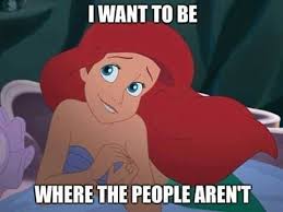 55 Hilarious Travel And Vacation Memes Every Traveler Will Love Funny Disney Memes Funny Work Jokes Work Jokes